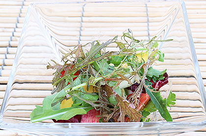 <br /><br />季節野菜の彩りサラダ 梅肉風味の和風ドレッシング<br />