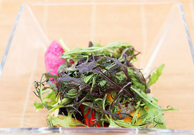 <br /><br />いろいろ根菜と季節野菜の彩りサラダ 和風柚子ドレッシング<br />